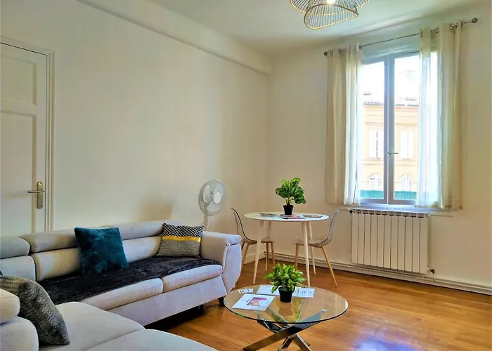 Apartment Le Bout Du Pont - 5 Min A Pied De La Gare Villebourbon Et De L'hypercentre - Vue Sur Pont Vieux - Grande Terrasse - 8 Couchages - 3 Spacieuses - 4 Lits - Places De Stationnement Gratuites Au Pied De L'immeuble Montauban